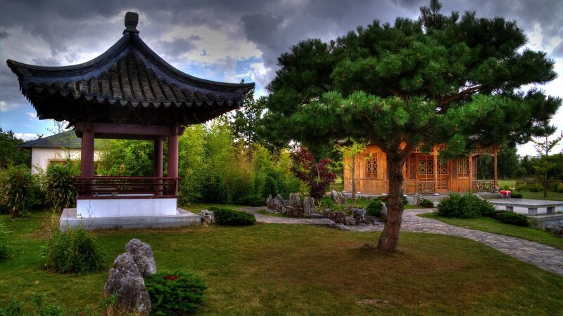 Traditional Japanese garden scene