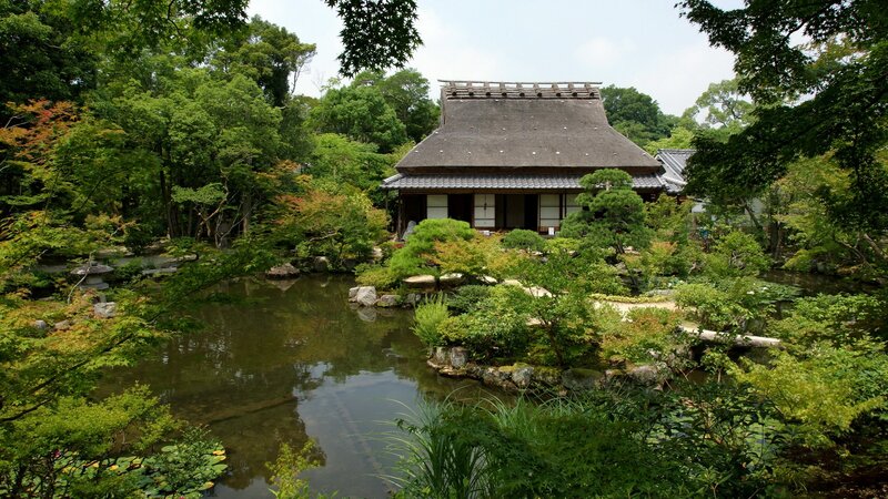 Traditional Japanese garden with pond