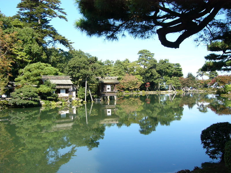 Traditional Japanese garden with pond