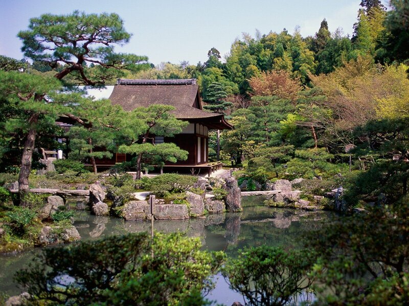 traditional japanese garden with pond