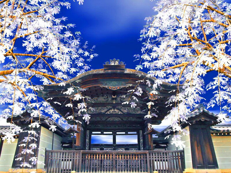 Traditional Japanese Gate — Blue
