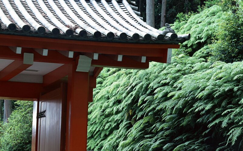 Traditional Japanese gate with ferns
