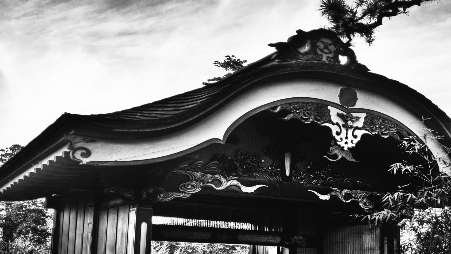 traditional japanese gate