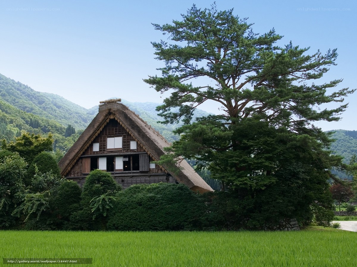 Traditional Japanese house in green field