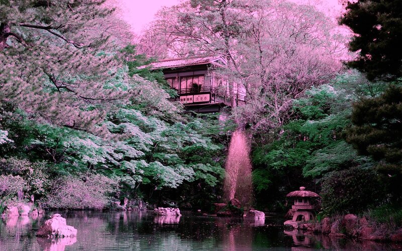Traditional Japanese House