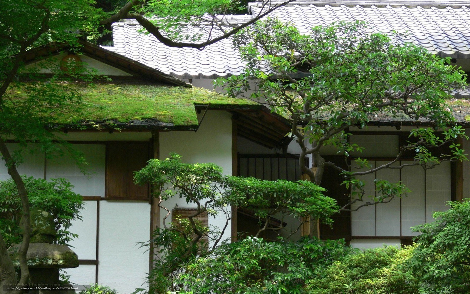 Traditional Japanese house with garden