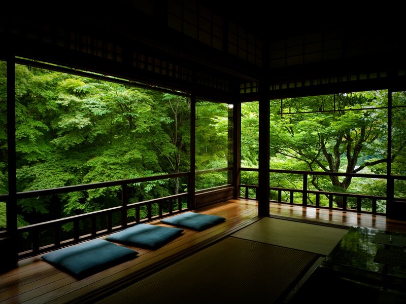 Traditional Japanese room with forest view