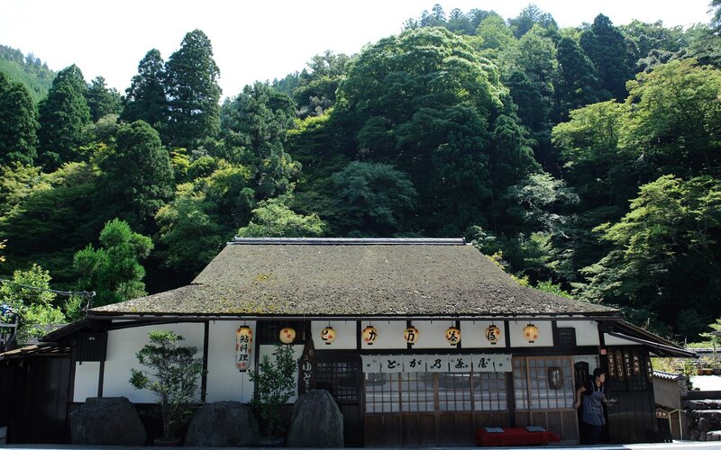 Traditional Japanese tea house in forest