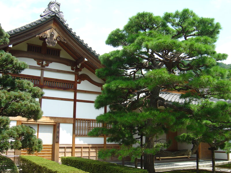 traditional japanese temple garden