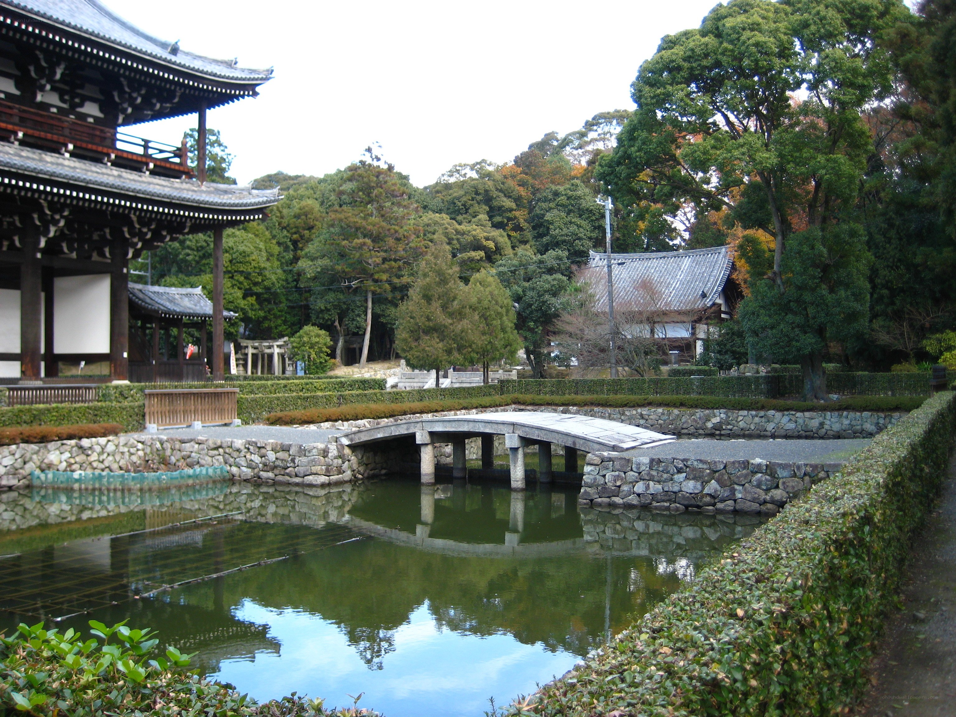Traditional Japanese temple garden