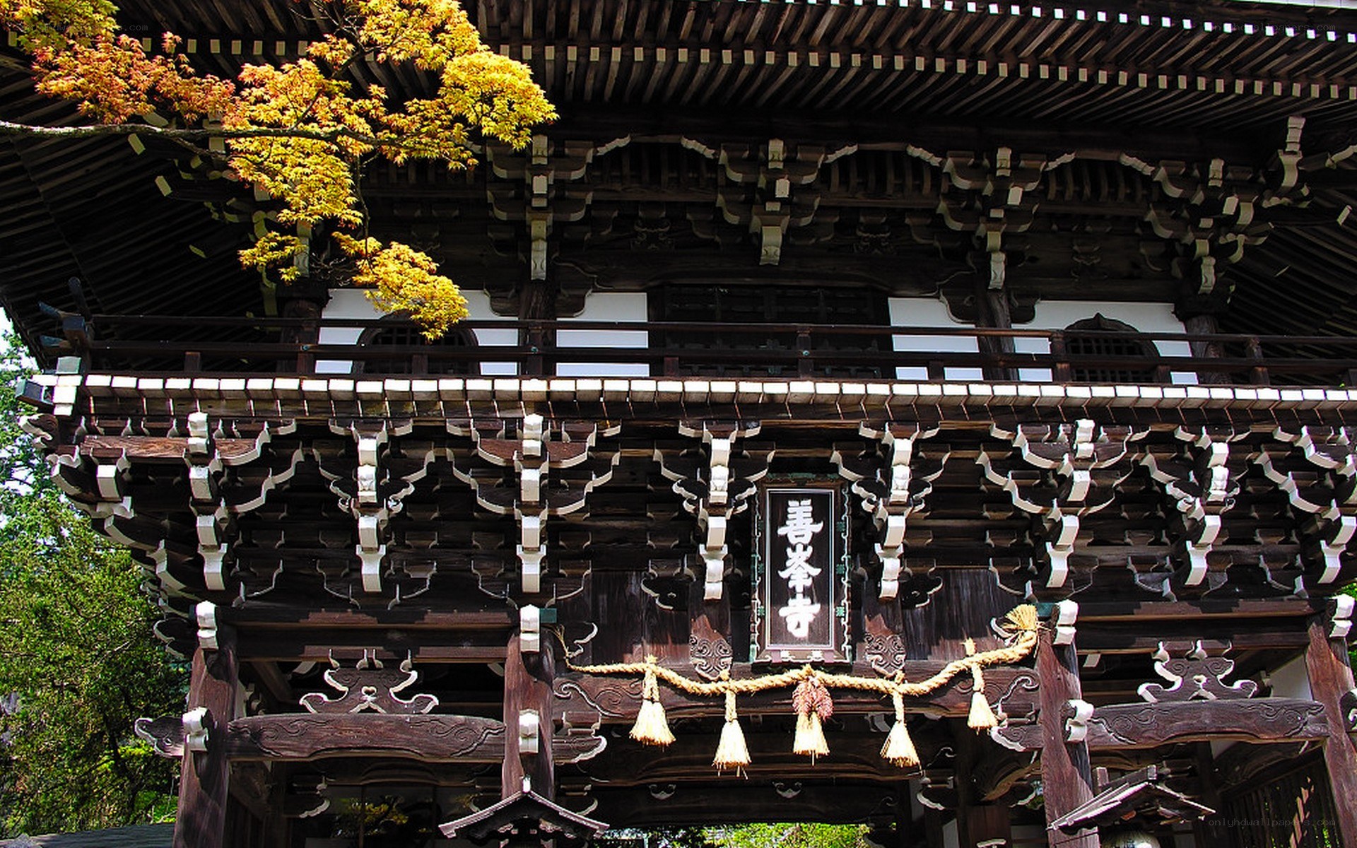 traditional japanese temple gate