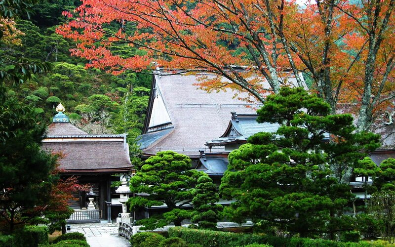 Traditional Japanese Temple — Green, Serene, Autumn, Photograph