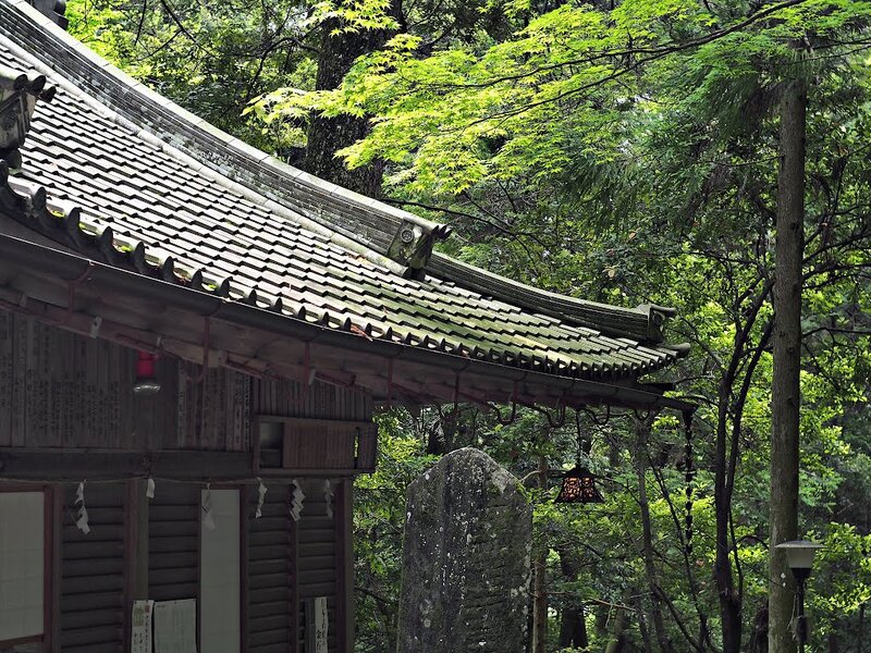 Traditional Japanese Temple — Green, Serene, Summer