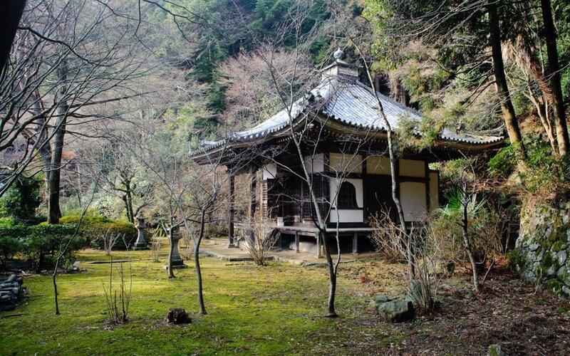 Traditional Japanese Temple — Green, Serene, Winter