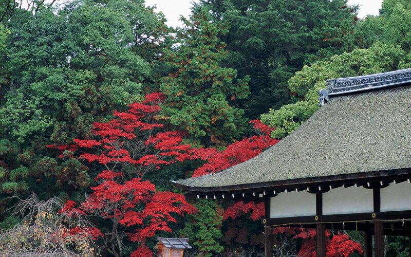 Traditional Japanese temple in autumn