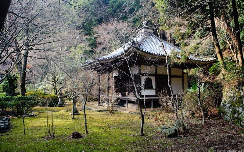 Traditional Japanese temple in forest
