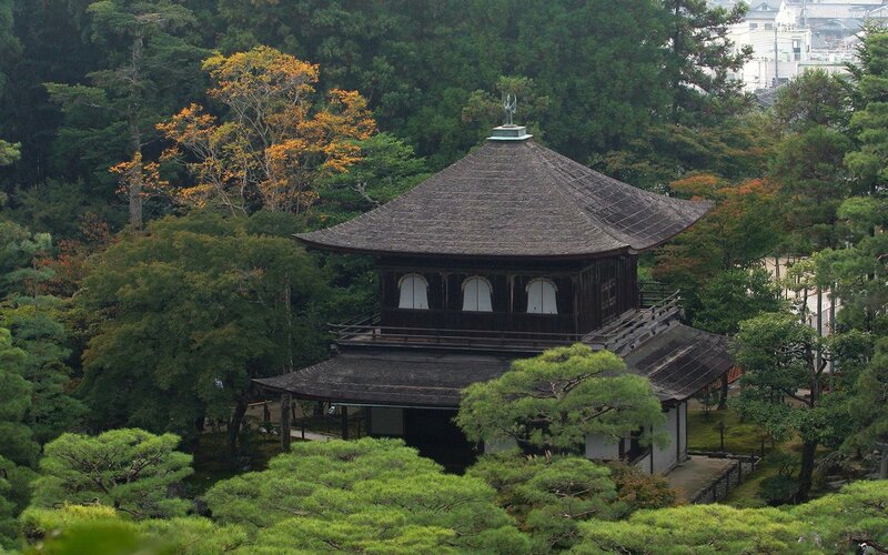 Traditional Japanese temple in forest