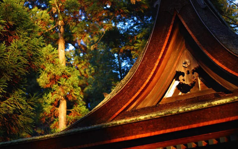 traditional japanese temple roof
