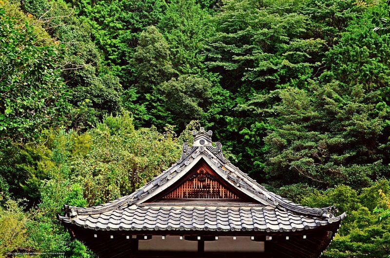 Traditional Japanese temple roof