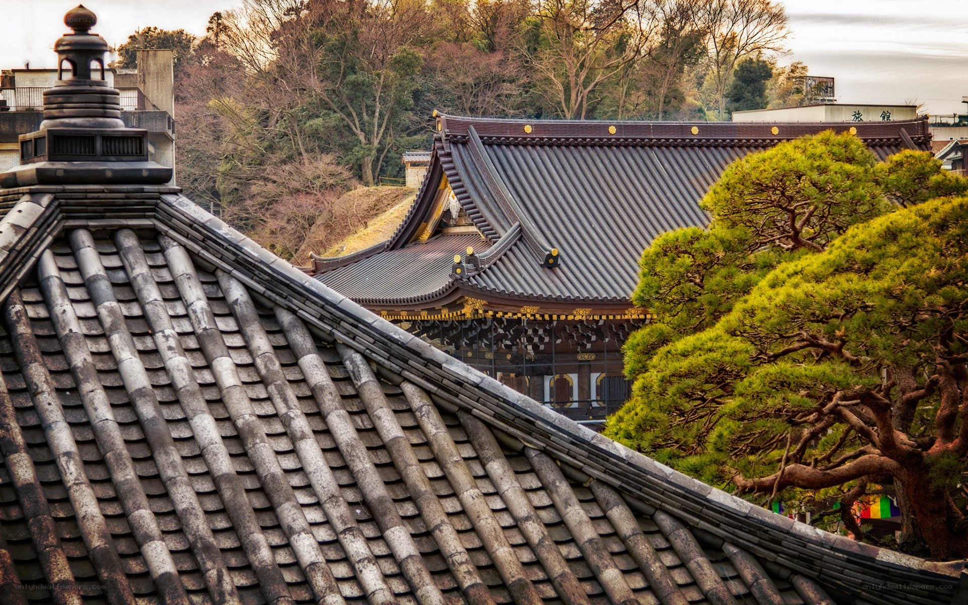 Traditional Japanese temple roofs