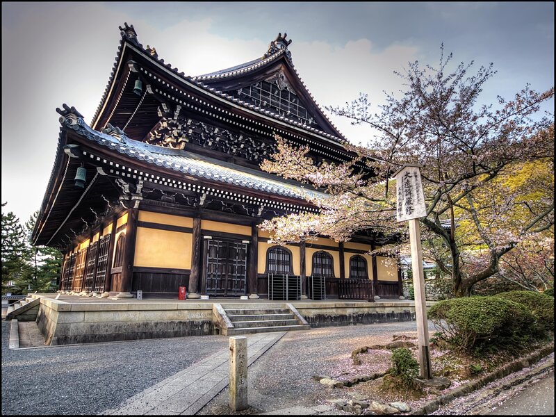 traditional japanese temple with cherry blossoms