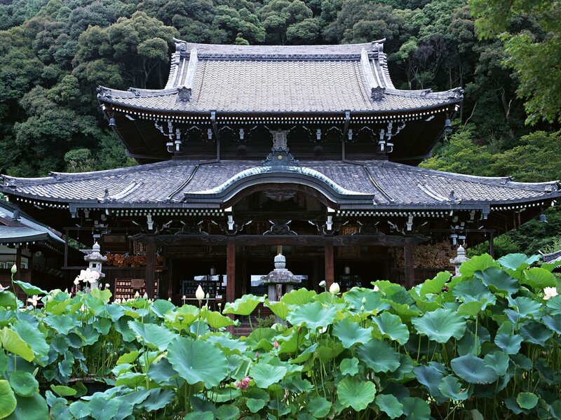 traditional japanese temple with lotus pond