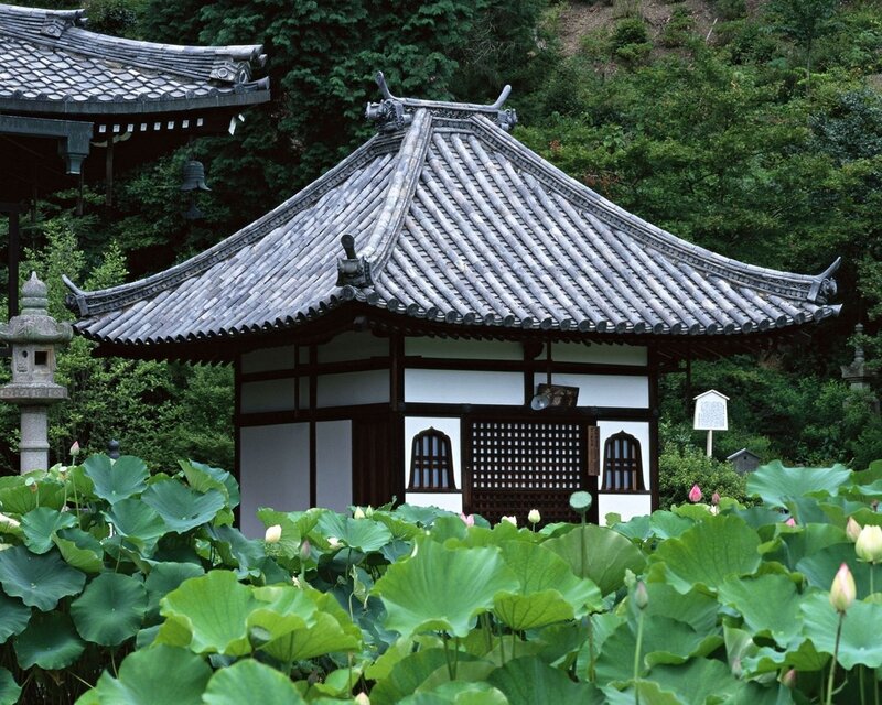 Traditional Japanese temple with lotus pond