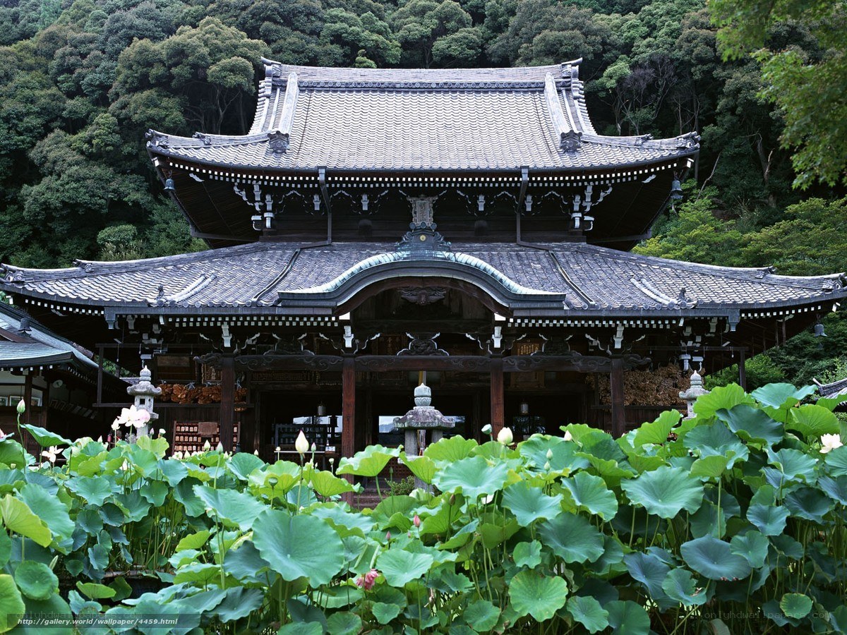 Traditional Japanese temple with lotus pond