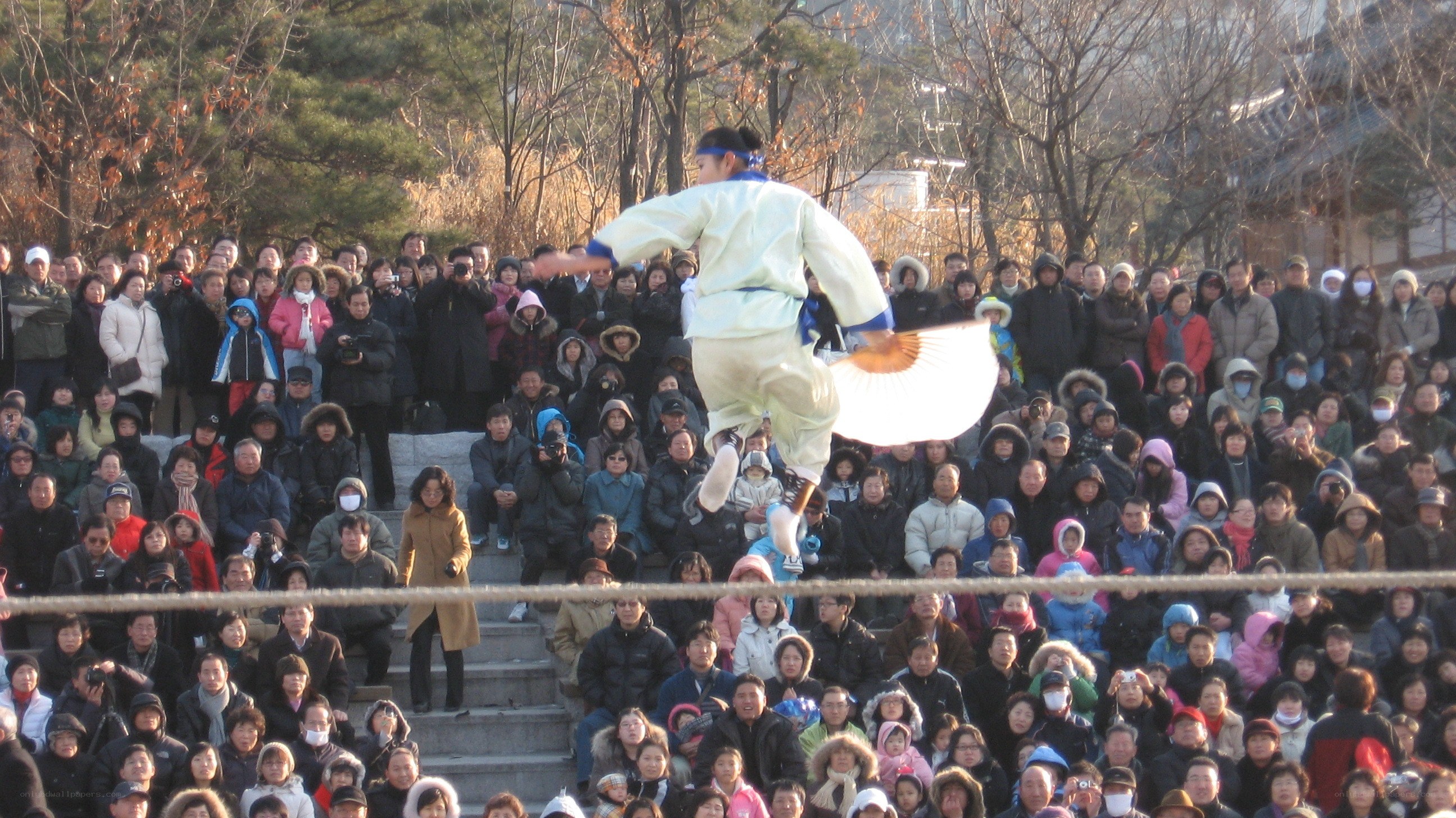 Traditional Korean fan dance performance