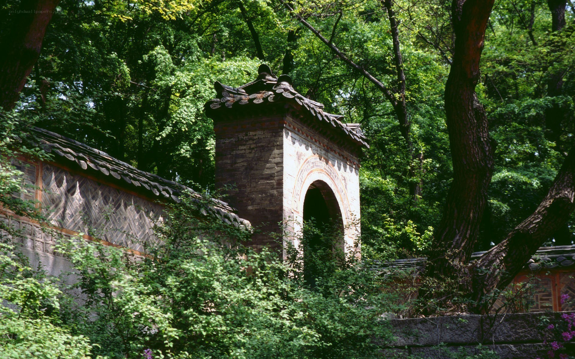 Traditional Korean gate in forest