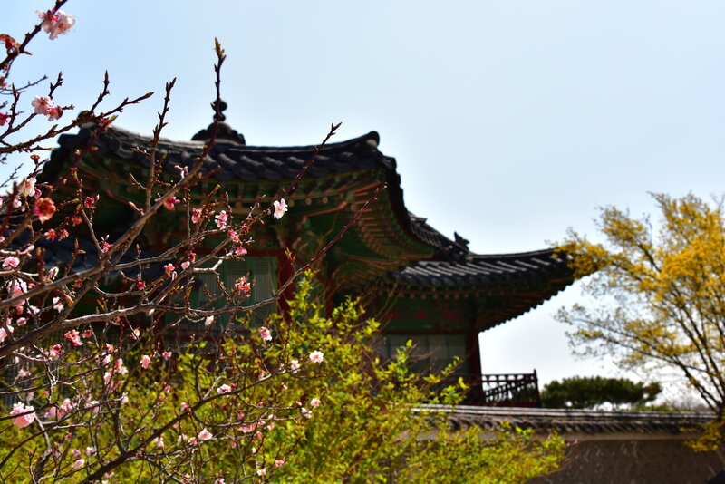 Traditional Korean Pavilion — Green