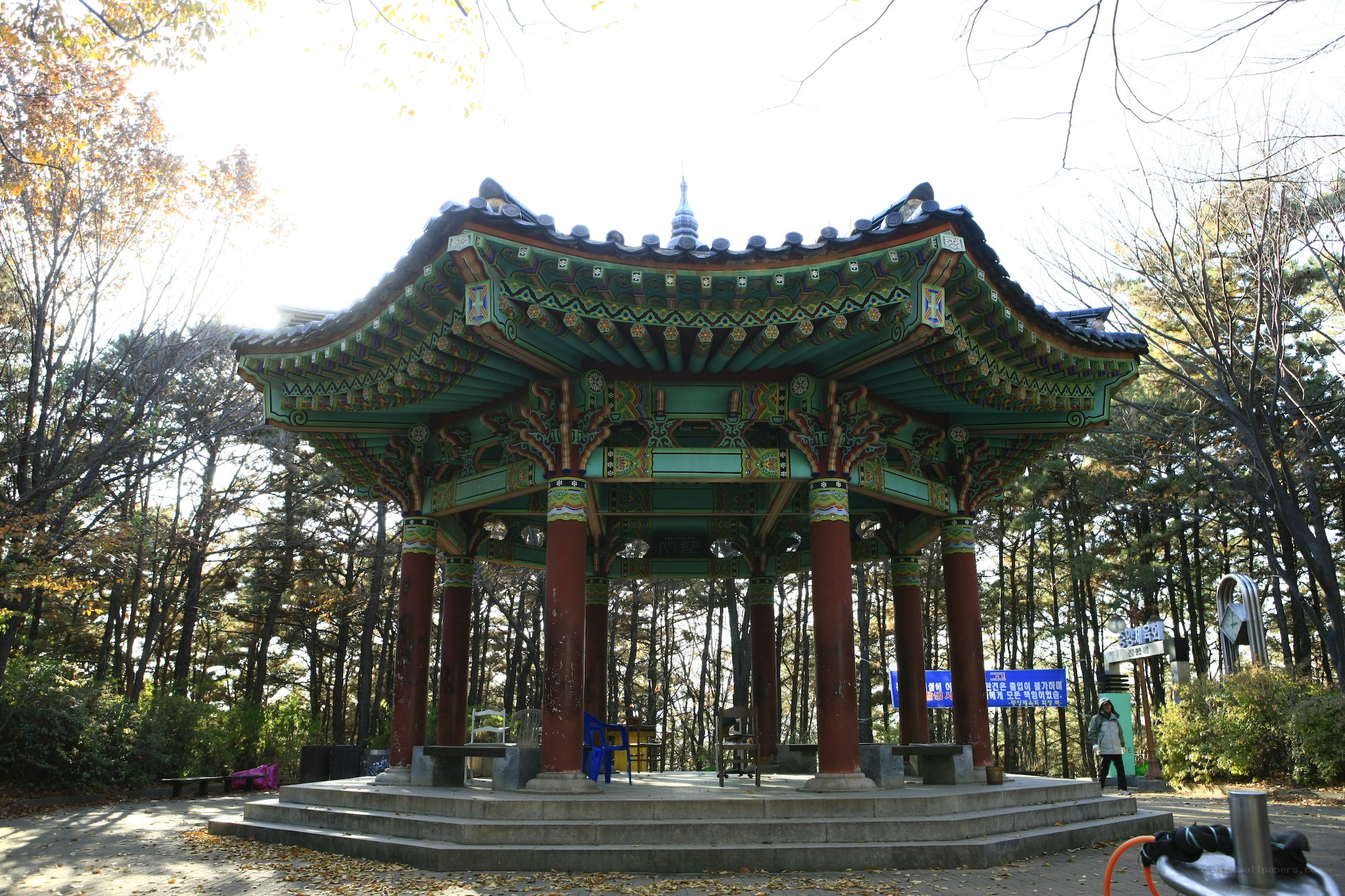 Traditional Korean pavilion in forest