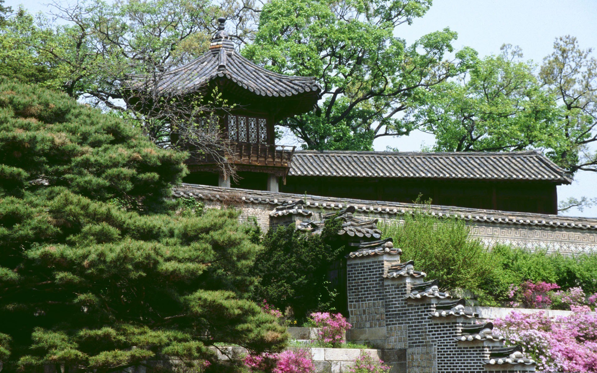 Traditional Korean pavilion