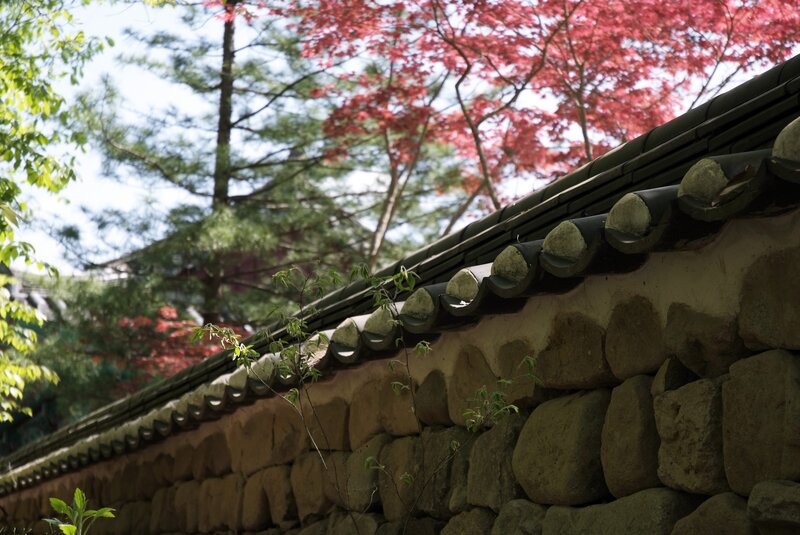 Traditional Korean wall with autumn foliage
