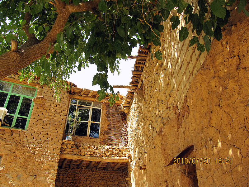 Traditional mud-brick house with tree