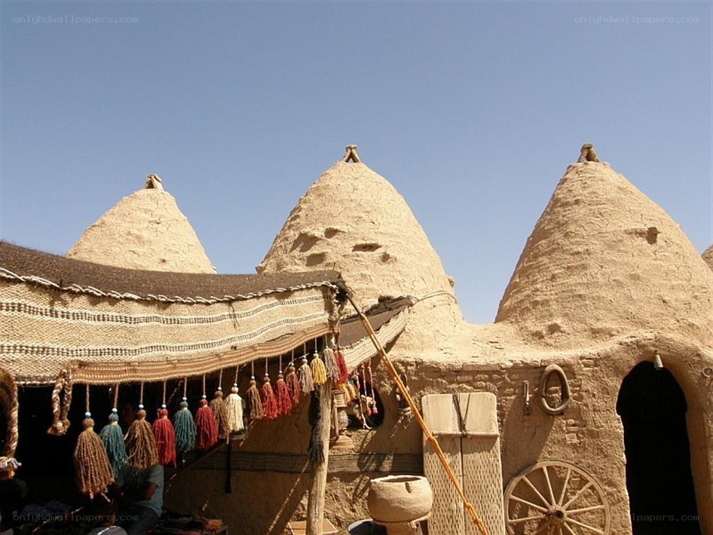 Traditional mud-brick huts