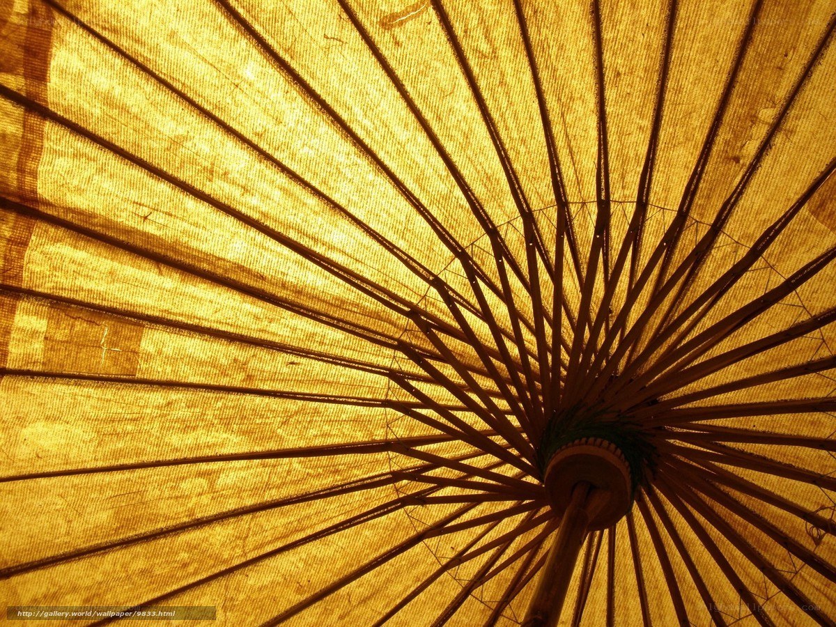 Traditional paper umbrella interior