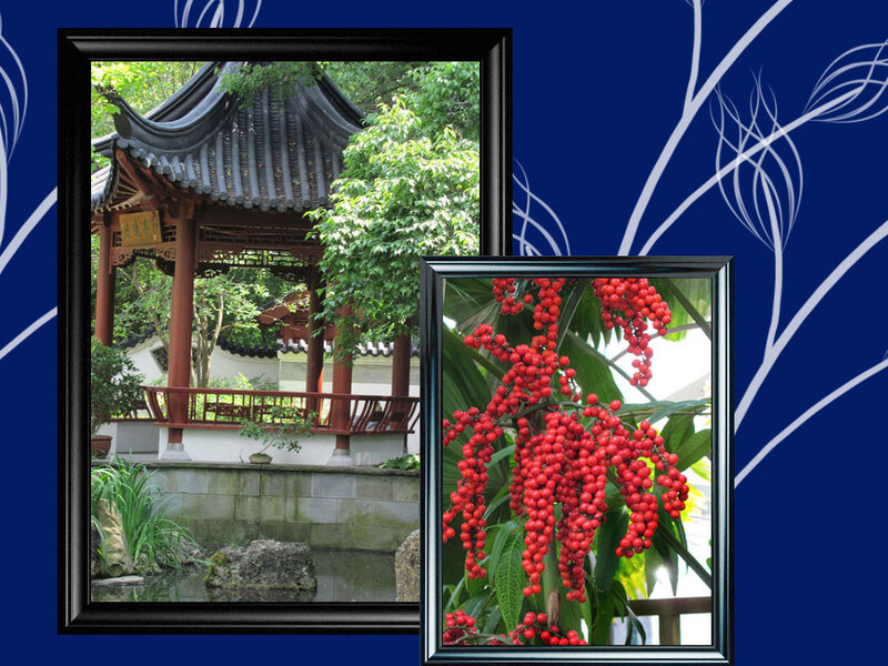 Traditional Pavilion and Berries