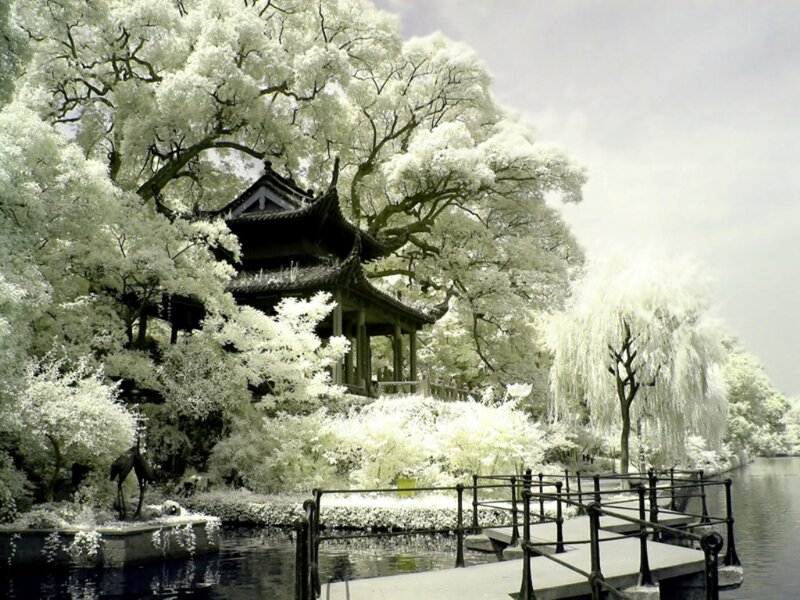 Traditional Pavilion by Lake — White