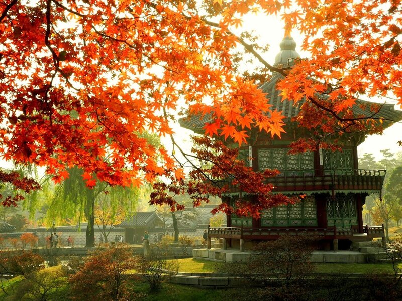 Traditional Pavilion in Autumn — Orange