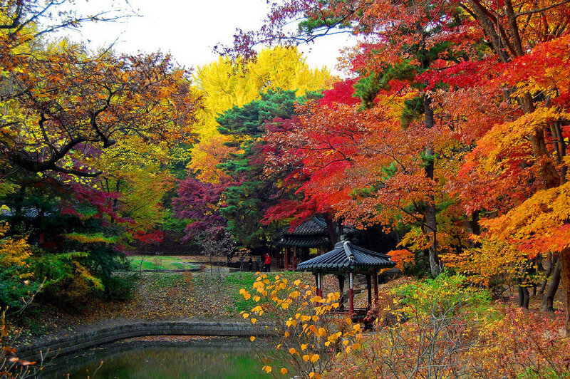 Traditional Pavilion in Autumn — Red