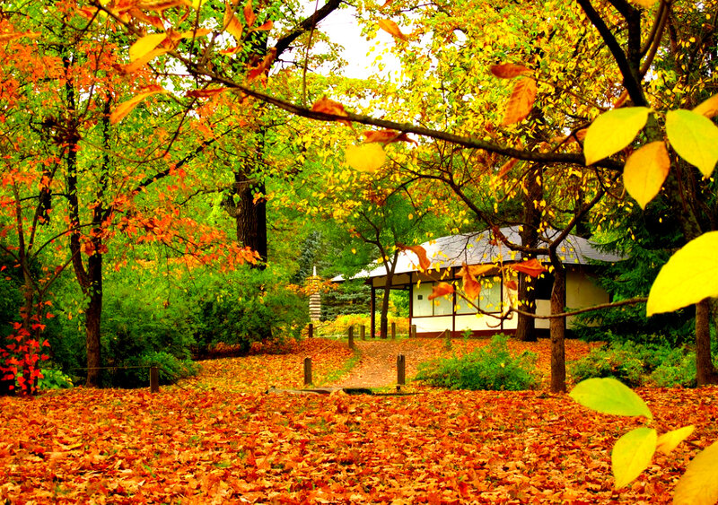 Traditional Pavilion in Autumn