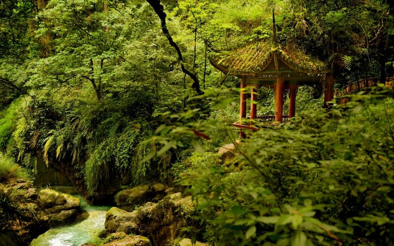 Traditional Pavilion in Forest — Green, Serene