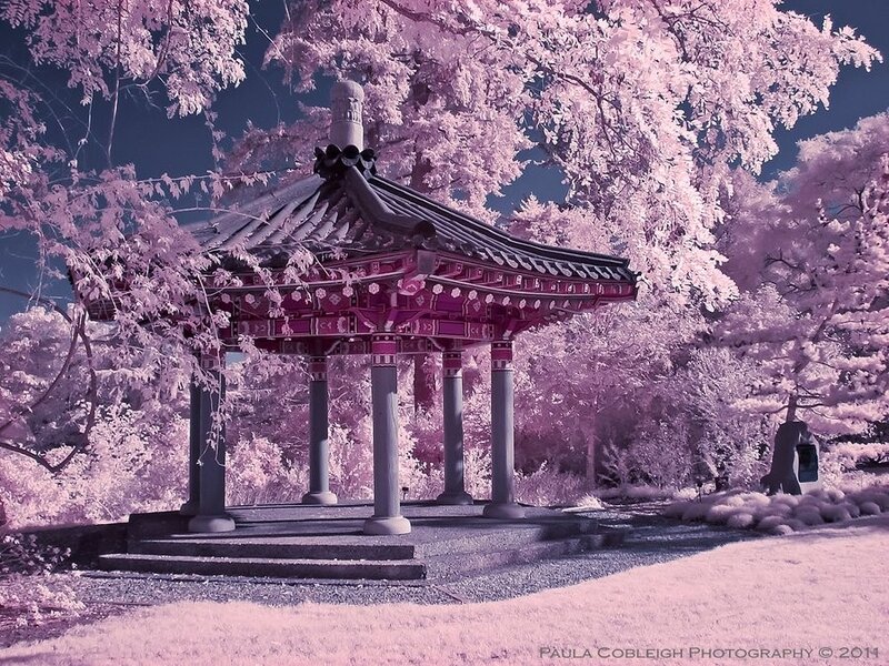 Traditional Pavilion in Garden — Pink