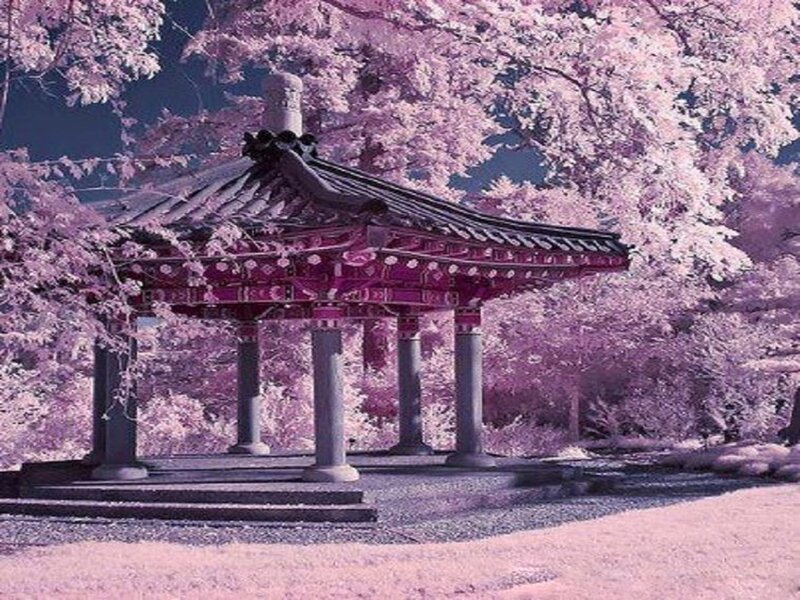 Traditional Pavilion in Garden — Purple