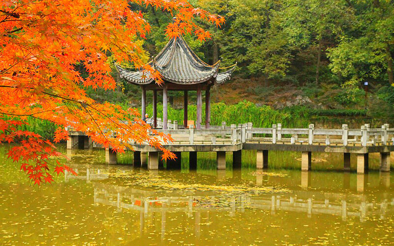 Traditional Pavilion over Pond