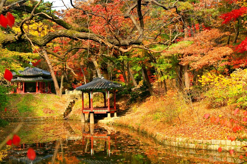 Traditional Pavilions in Autumn