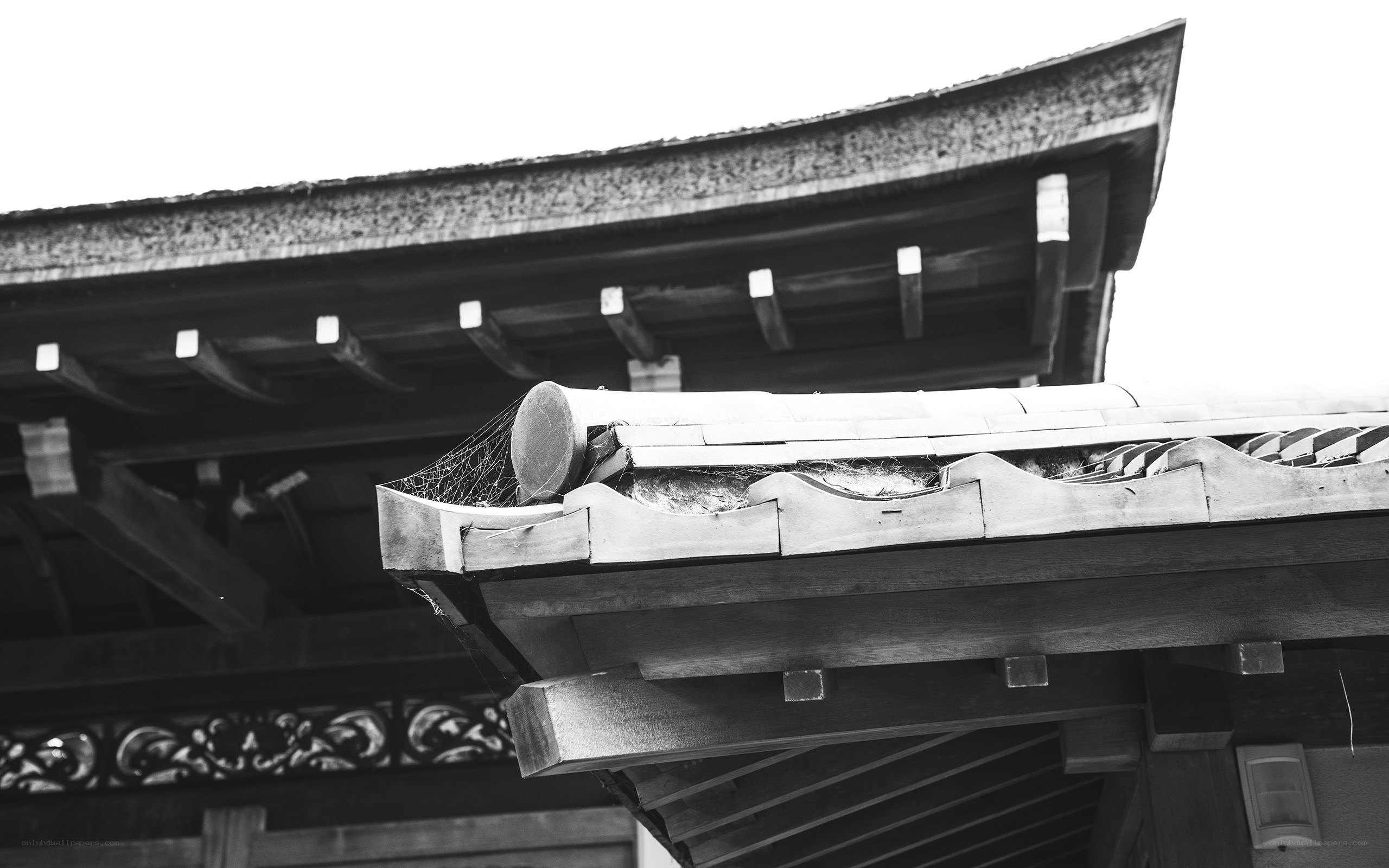 traditional roof architecture