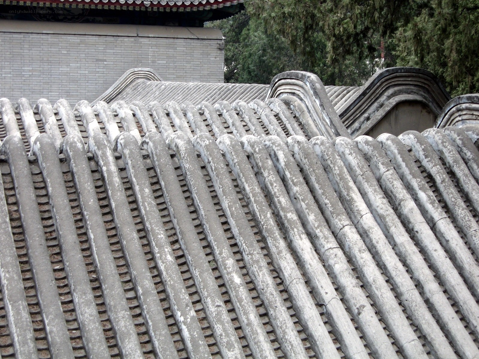 traditional roof tiles