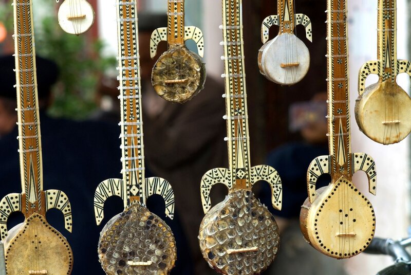 Traditional string instruments on display